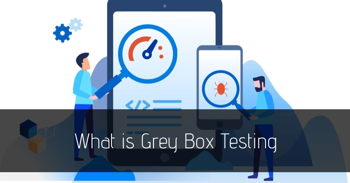 what is grey box testing