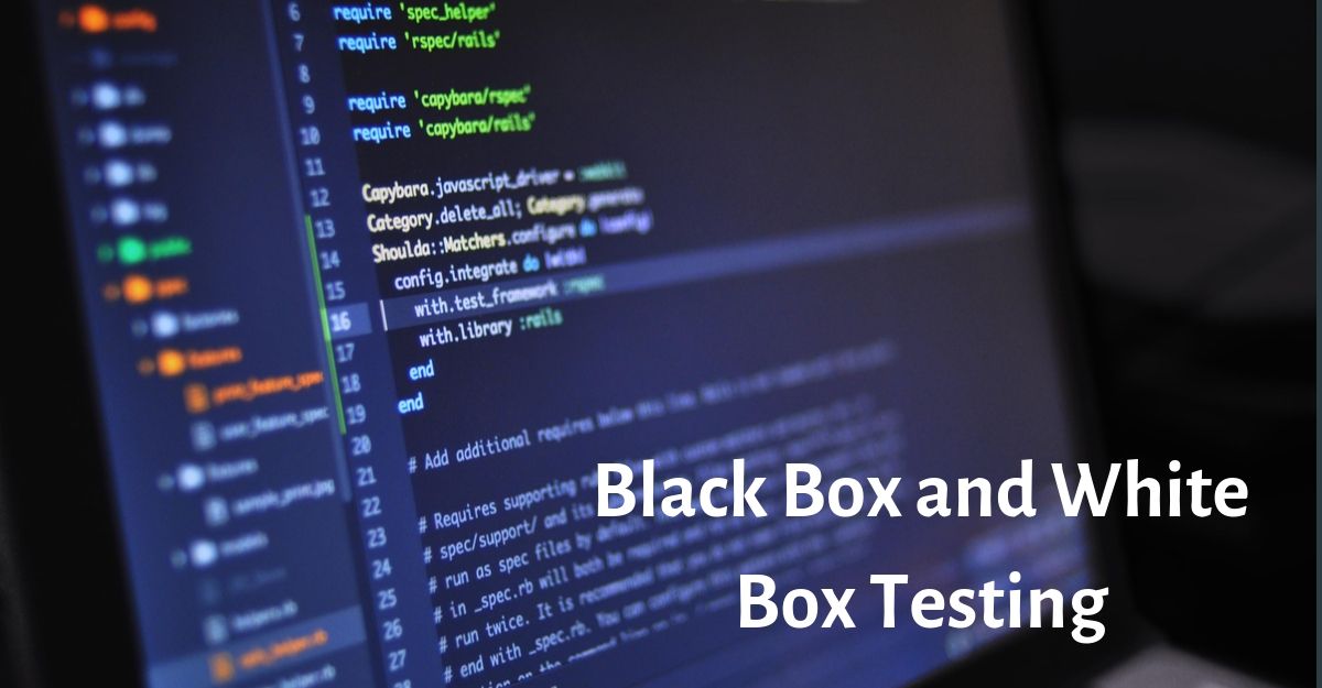 black box and white box testing