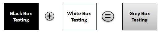 how does black box testing differ from grey box testing